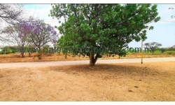 Otjiwarongo - 1546 sqm Residential Plot with a soning of 1:500