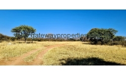 Otavi - 3695 ha Game farm with 4 Bedroom Guesthouse
