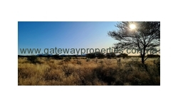 Otjiwarongo - 400 ha Game fenced plot with 3 Houses and a big Warehouse. Price negotiable.
