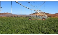 Tsumeb - Beautiful Irrigation Farm with 3 Pivots and Drip Irrigation, for sale   