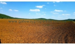 Otavi - 3280 ha Irrigational farm with good infrastructure, 2 Centre Pivots and strong water. No waiver needed. 